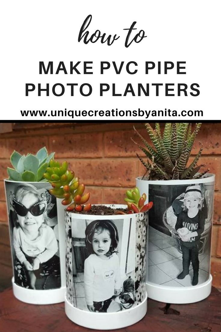 PVC Pipe planters