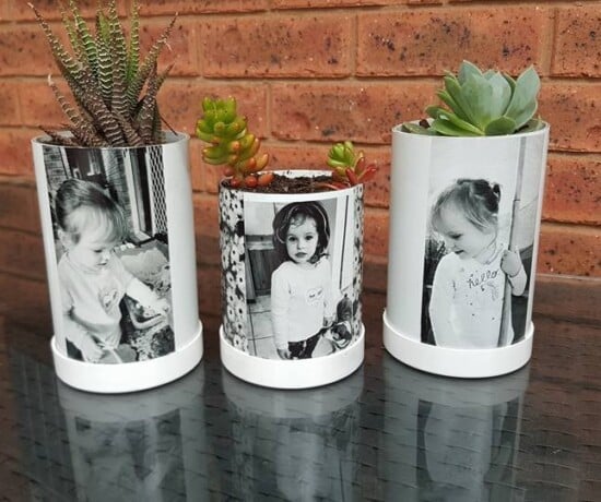 PVC pipes made into planter with photos