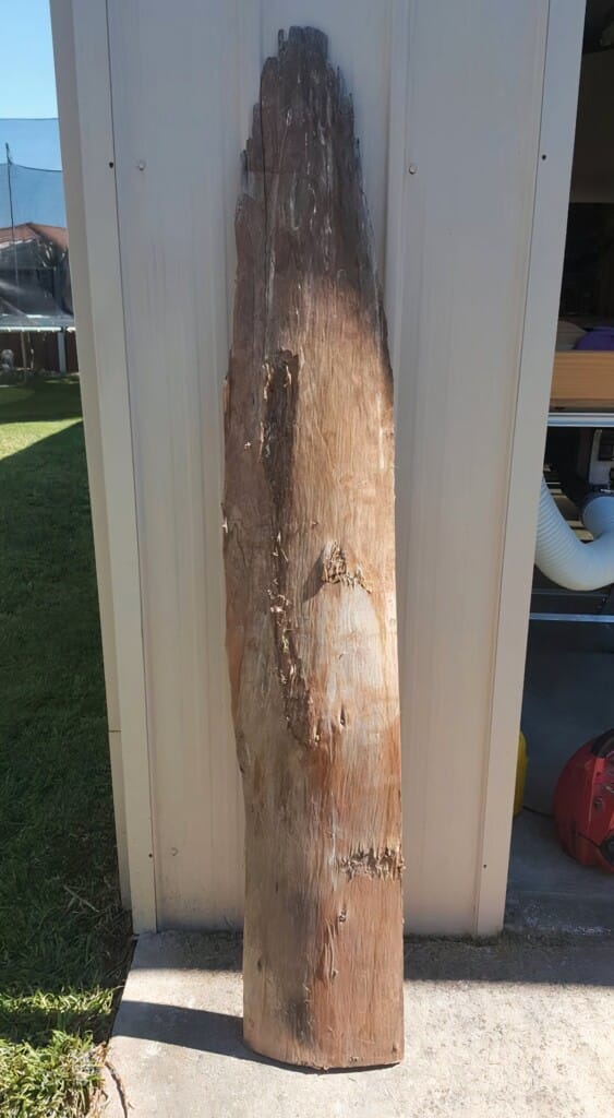 wood slice before becoming a suncatcher