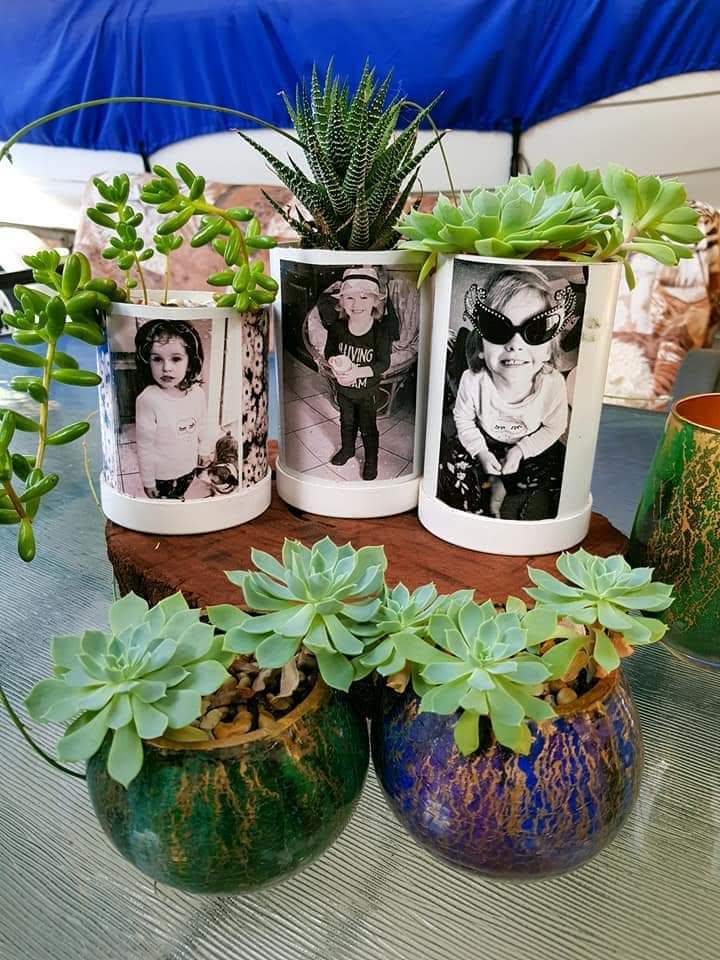 Planters made from PVC pipe with photos on the front and succulent inside. 