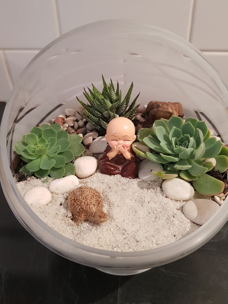 DIY Succulent terrarium