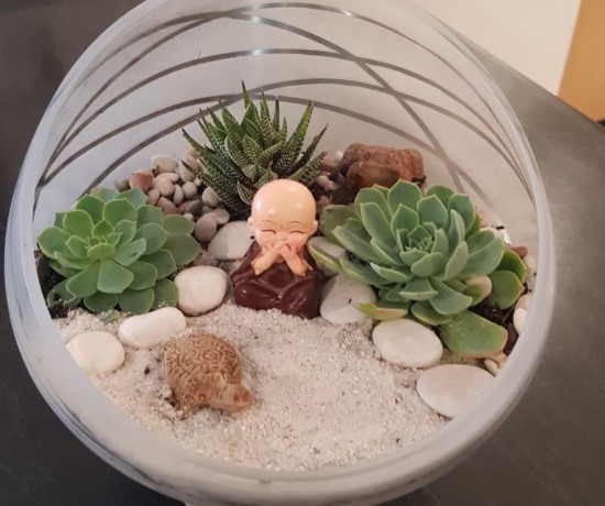 Succulent terrarium