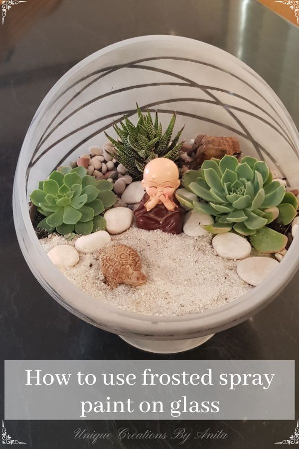 Succulent terrarium