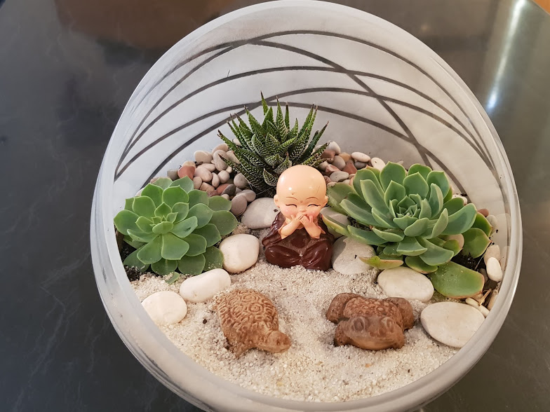 How to make your own Themed Succulent Terrarium
