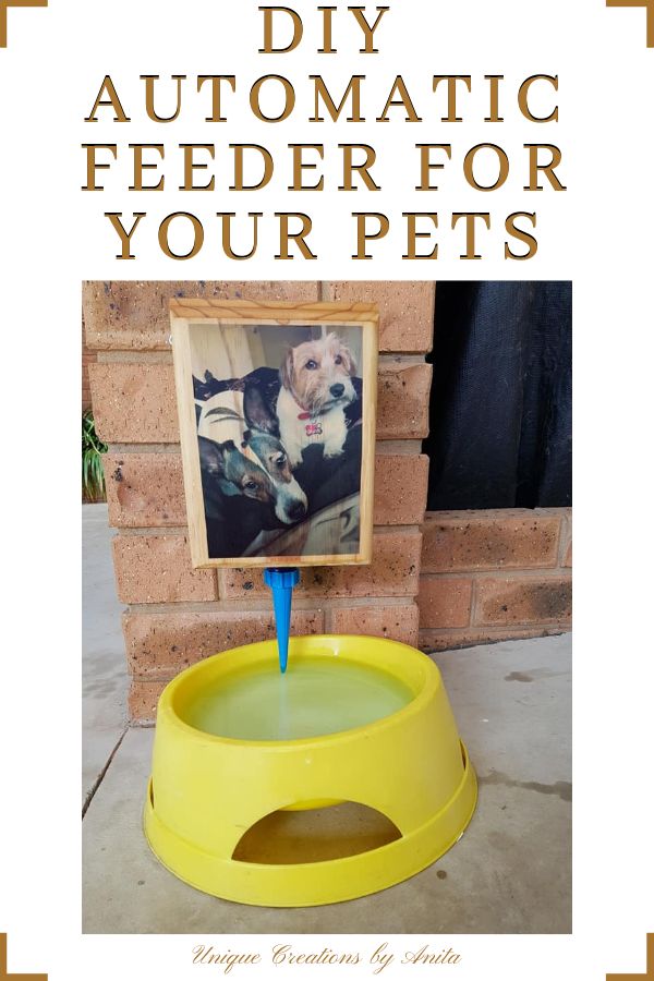 DIY Automatic feeder for your pets
