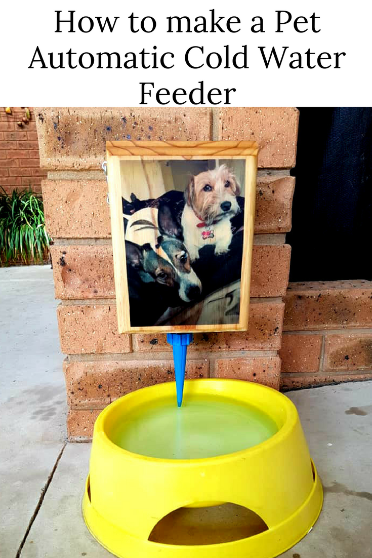 How to make a pet Auto Cold water feeder