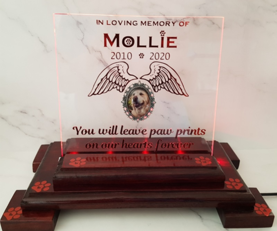 Pet memorial plaque