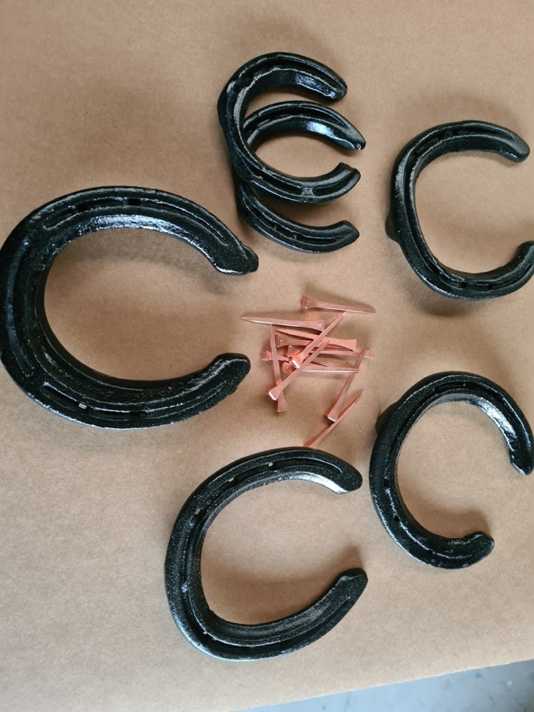 horse shoes painted black