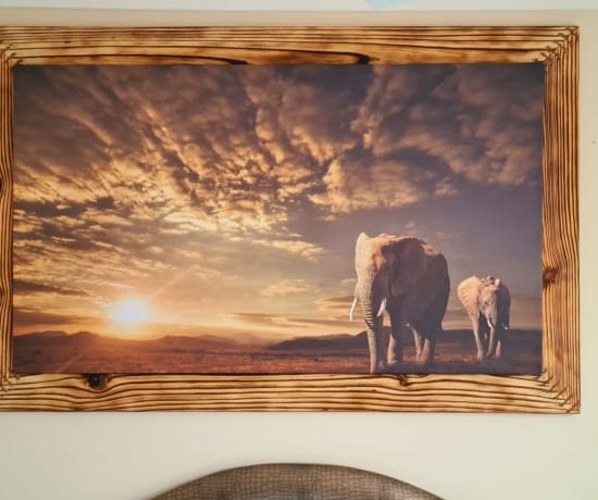 Elephant canvas with shou sugi ban frame