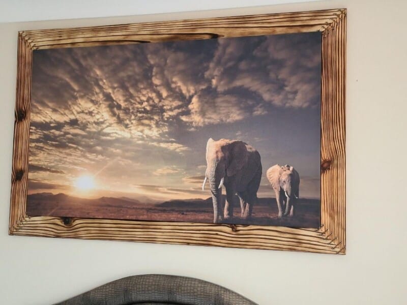 Shou Sugi Ban  frame with African elephant canvas. side view