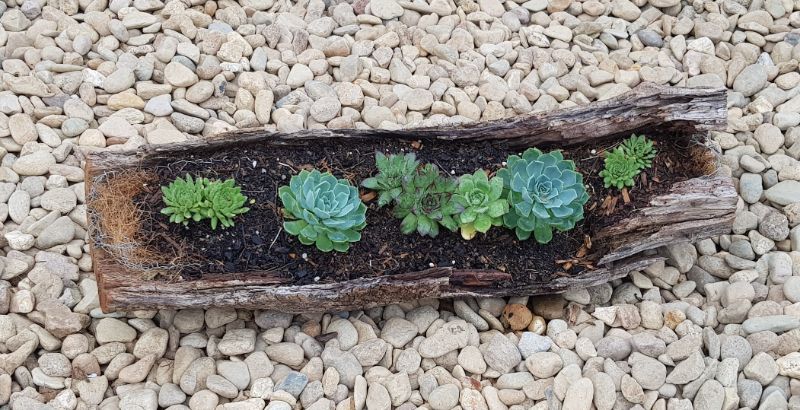 DIY Succulent planter