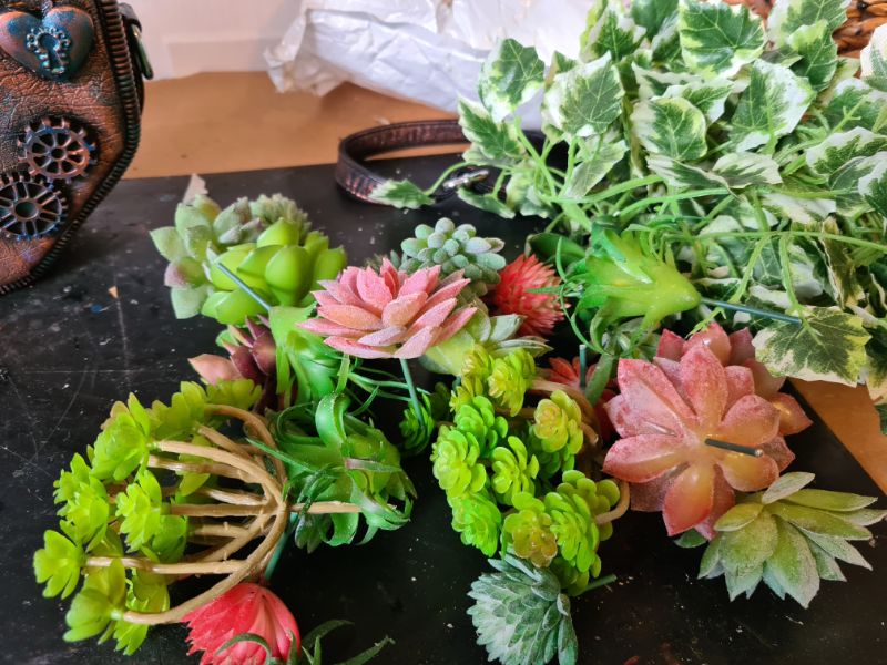 Planter made from a chocolate tin