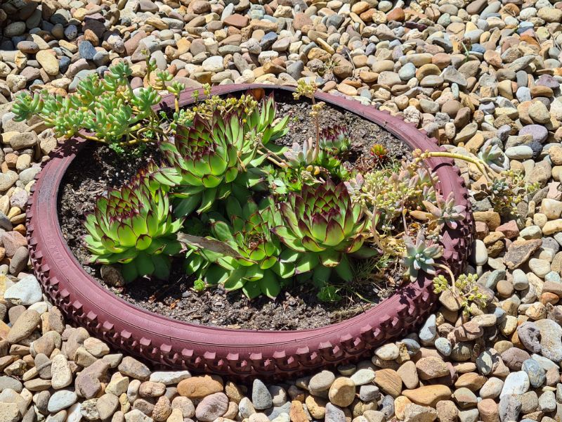Close up view showing movable tyre planters