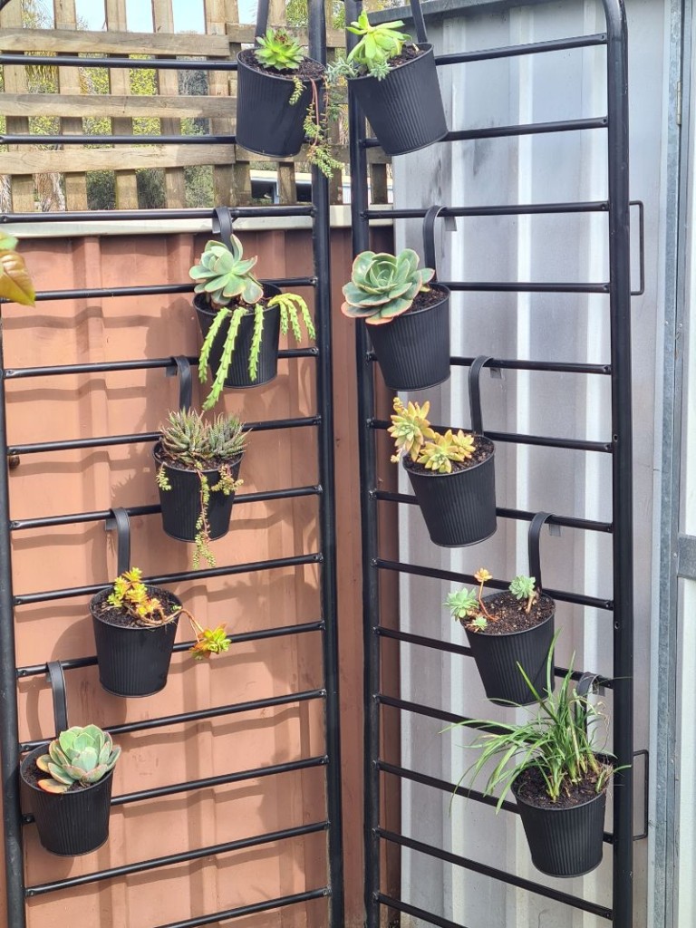 Black hanging pots on futon plant stand with succulents