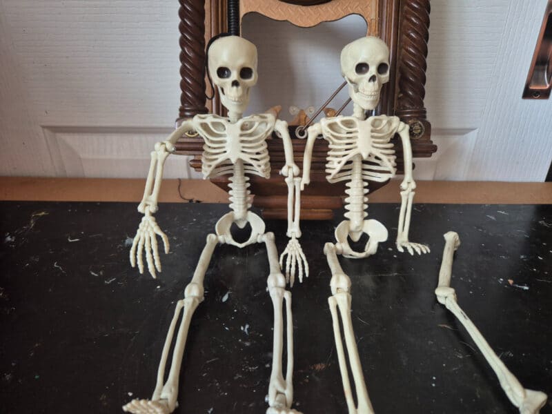 broken skeletons