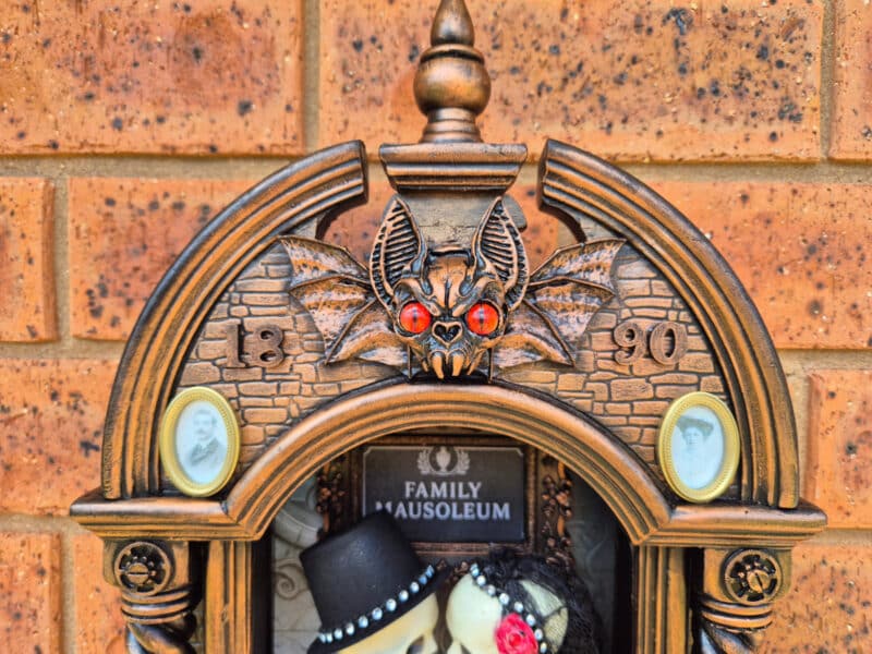 up close of mini framed portraits and bat skull
